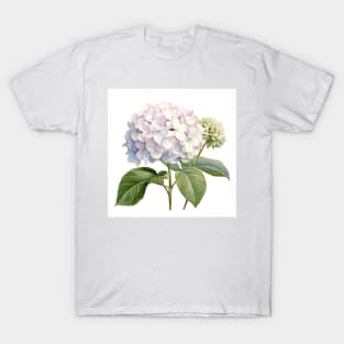 Vintage Hydrangea T-Shirt